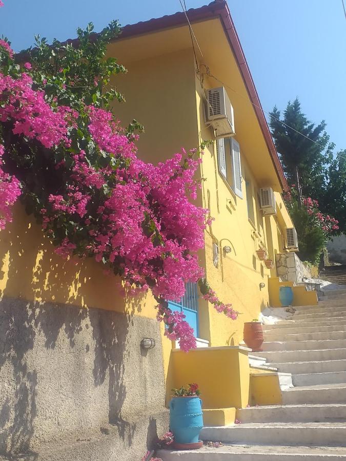 Villa Eleni Vathy  Bagian luar foto